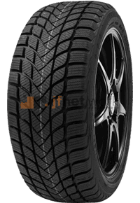 Winter | DELINTE | WINTER WD6 | 205/55R17 95H