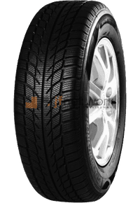 Winter | GOODRIDE | SW608 | 205/55R16 91H