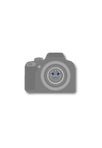 SCORPION WINTER 3